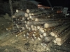 На пилорамі вараського підприємця знайшли незаконну деревину