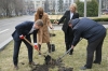 На Рівненщині готуються посадити тисячі дерев