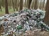 На Рівненщині хлопець самостійно прибрав ліс, назбиравши тонни пляшок