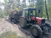 На Рівненщині лісівники затримали водія, який незаконно вивозив деревину