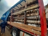 На Рівненщині незаконно вирубали майже 35 кубів деревини