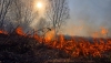 На Рівненщині оголосили найвищий рівень пожежної небезпеки