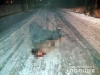 Розшукують водія, який скоїв смертельну ДТП на Костопільщині і втік