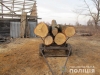 На Рівненщині відкрили майже 50 проваджень щодо незаконної порубки лісу
