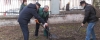 На Рівненщині висадили груші з подвір`я Лесі Українки