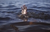 На Рівненщині врятували чоловіка, який тонув в озері