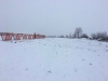 На Рівненщині вздовж доріг встановлюють щити від снігу