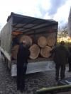 На Рівненщині зупинили вантажівку, яка незаконно перевозила деревину (оновлено)