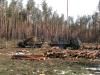 На Рівненщині звільнили 13 лісівників