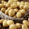 На Сарненщині для лікарень збирають картоплю