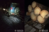 На Сарненщині крадені сосни перевозили позашляховиком (ВІДЕО)