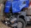 На Сарненщині п’яного на вантажівці з цеглою зупинило дерево  (ВІДЕО)