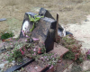 На Сарненщині розтрощили могилу священника, який помер рік тому