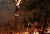 На Сарненщині вночі згоріла будівля (ВІДЕО)