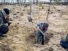 Нардепи з Рівненщини запропонували «знижки» на видобуток бурштину в лісі