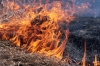 Неподалік Дубровиці чоловік підпалив траву і сам згорів
