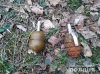 Неподалік РДГУ в Рівному знайшли дві гранати