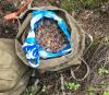 Операція СБУ: гналися болотами за чоловіком, який ніс у Білорусь рюкзаки з бурштином (ФОТО)