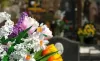 Острожанка просить Зеленського заборонити продаж штучних квітів