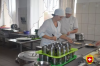 Паелья та равіолі: школа на Рівненщині готує за рецептами Клопотенка 