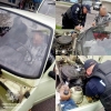 Патрульні допомогли у Рівному водієві полагодити автомобіль