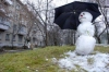 У перший день року на Рівненщині зафіксували температурний рекорд