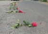 Під час прощання із захисником дорогу на Рівненщині встелили квітами (ФОТО)