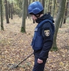 Піротехніки знищили арсенал артснарядів, який знайшли неподалік Решуцька