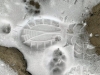 На Сарненщині поліцейські викрили злодія за слідами на снігу