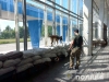 «Замінували» рівненський аеропорт, по якому били російськими ракетами