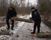 Поліцейські розчищали дорогу від повалених дерев на Дубенщині