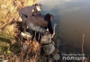Офіцери врятували лебедя, який розгубився на дорозі (ВІДЕО)
