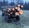 Поліція Рівненщини розшукує втікача, який зрубав дерева у заказнику
