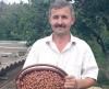 Професор і фермер на Рівненщині отримали патент на… горіх