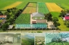 Равликову ферму на Рівненщині виставили на аукціон