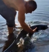 Рибалка на Рівненщині відпустив 20-кілограмову рибу
