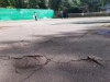 Рівненські спортсмени хочуть реконструкції тенісних кортів у парку ім. Шевченка 