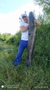 Рівненський рибалка упіймав сома-гіганта