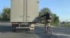 Рівненський велосипедист, що тримався за вантажівку, повеселив мережу
