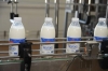 Рівненський виробник молочки оновлює продукцію та упаковку