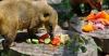 Рівненський зоопарк запрошує на показову годівлю тварин