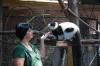 Рівненський зоопарк запрошує на роботу