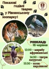 Рівненський зоопарк запрошує подивитися, що їдять марабу