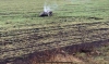 Росія обстрілює Україну ракетами - у сусідів вибухи