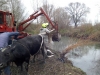 Рятувальники допомогли екскаватором витягнути з канави корову
