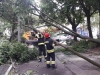 Рятувальники досі ліквідовують наслідки буревію на Рівненщині