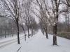 Синоптики розповіли, яким буде перший день зими на Рівненщині