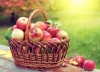 Скільки яблук можна з'їдати за день