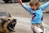 Собака вкусив за ніс дівчинку в рівненському парку