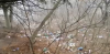 Пагорб Слави перетворили на стихійне сміттєзвалище 